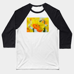 Narcissus  &#39;Bantam&#39;  AGM   Division 2 Large-cupped  Daffodil Baseball T-Shirt